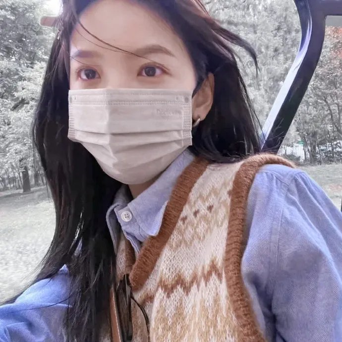 八面修罗之凤凰雪